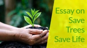 Essay on Save Trees Save Life for Students and Children in 900 Words
