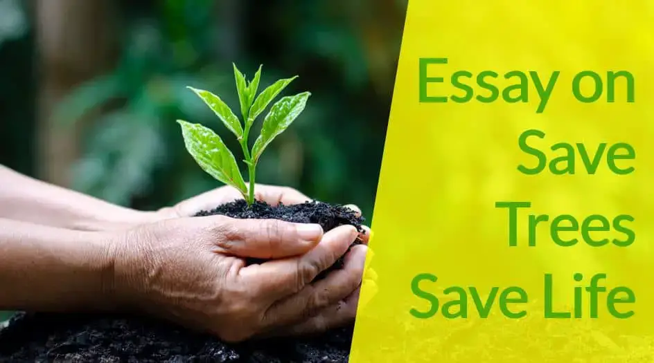 Essay on Save Trees Save Life for Students & Children in 900 Words