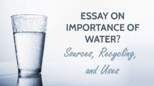 Essay on Importance of Water for Students and Children in 1500+Words