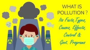 What is Pollution? It's Facts, Types, Causes, Effect, Control, Government Programs