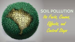 Essay on Soil Pollution for Students in 1200 Words