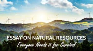 Essay on Natural Resources For Students and Children in 1000 Words