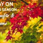 Essay on Autumn Season in India for Students 1000+ Words, Sharadh ritu