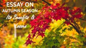 Essay on Autumn Season in India for Students 1000+ Words, Sharadh ritu