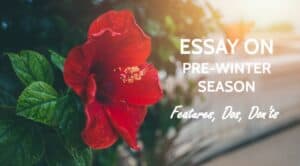 Essay on Pre-Winter season in India (Hemant Ritu) for Students and Children in 700 Words