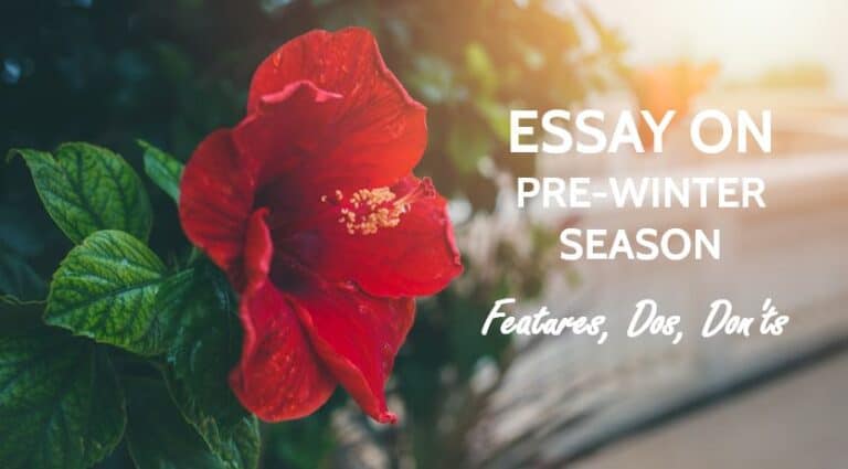 essay of pre winter season