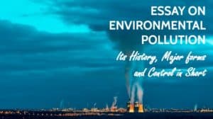 Essay on Environmental Pollution for Students in 1200 Words
