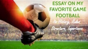 Essay on My Favourite Game Football for Students and Children in 1000+ Words