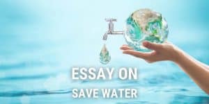Essay on Save Water for Students and Children in 1000+ Words