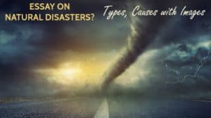 Essay on Natural Disasters? Its Types, Causes with Images