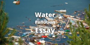 Essay on Water Pollution in English (1000 Words)