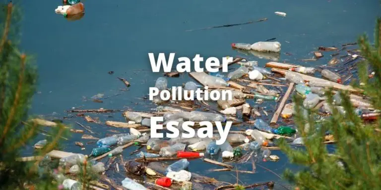 essay on water pollution 1000 words