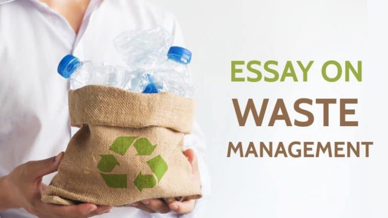 waste management essay 1000 words