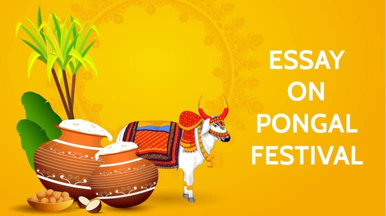 Pongal festival essay