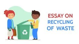 essay recycling activity