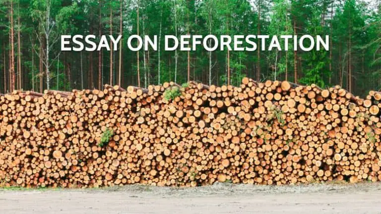 300 words essay on deforestation and its impact on environment