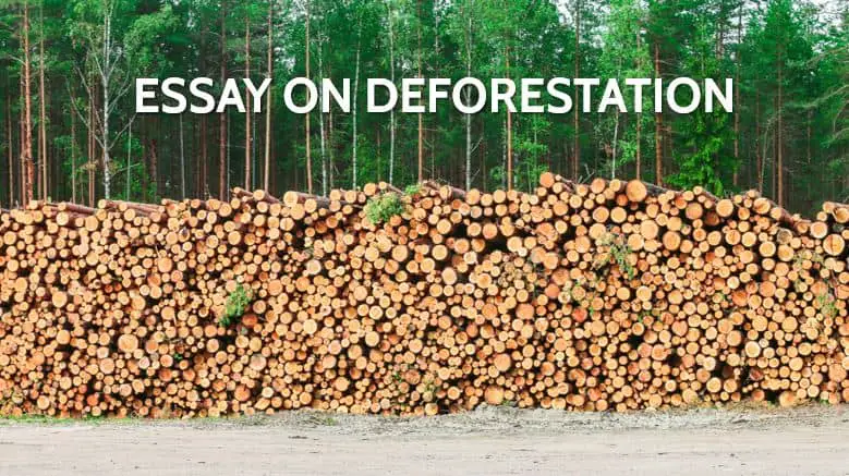 Essay on Deforestation for Students and Children in 1000 Words