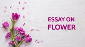 Essay on Flower for Students and Children 900 Words