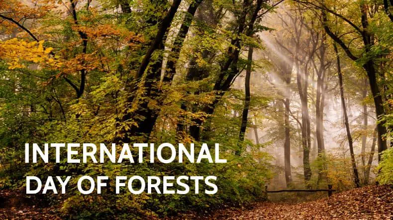 Here we have explained about International Day of Forests, which includes its date, history, importance, celebration, themes.