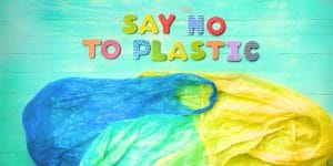 Essay on Plastic Ban 250 | 500 | 1000 Words