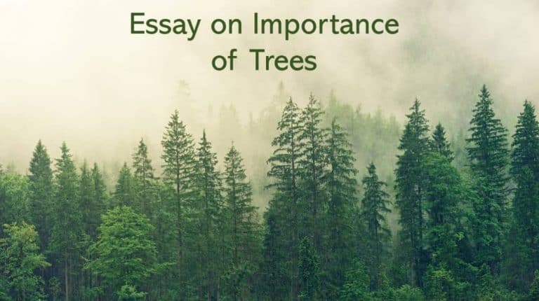 essay on importance of trees for class 9