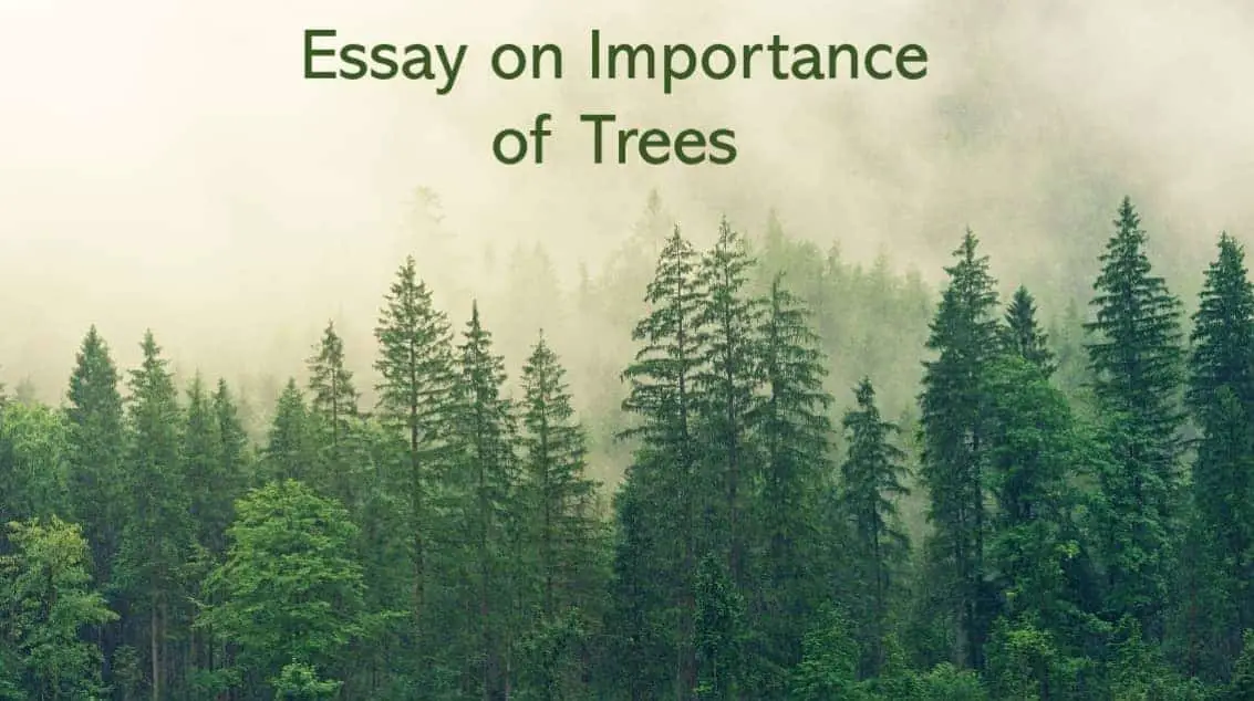 importance of trees essay