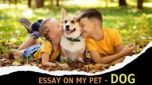 Essay on My Pet for Students and Children in 1000+ Words