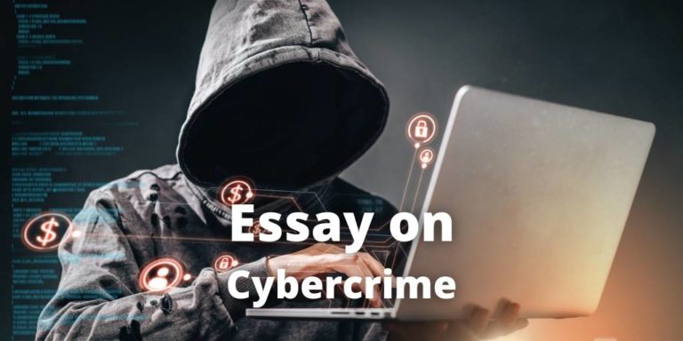 how to prevent cybercrime essay