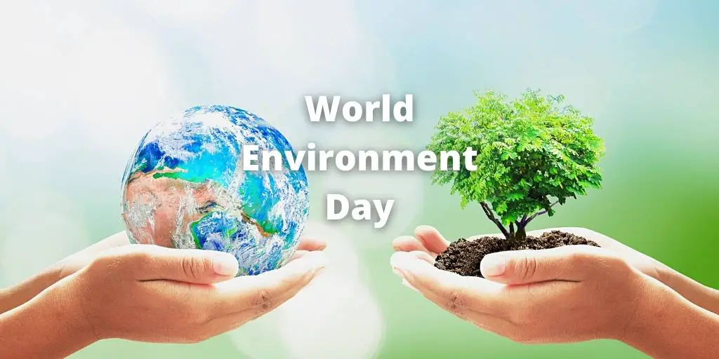 Essay on World Environment Day For Students and Children in 1000 Words