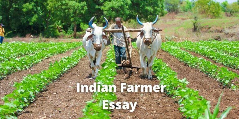 essay on indian farmer today