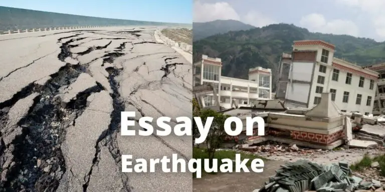 essay on earthquake 1000 words